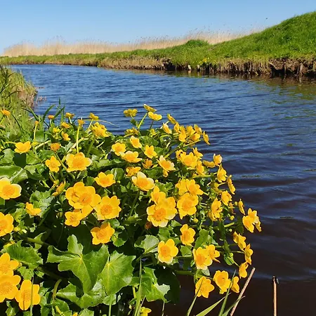 Modrzewiowy Zakatek By Interhome Prázdninový dům *