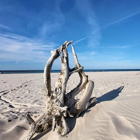 By Interhome Semesterbostad Smoldzinski Las