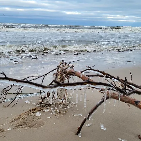 Modrzewiowy Zakatek By Interhome Prázdninový dům Smoldzinski Las