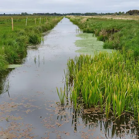 Modrzewiowy Zakatek By Interhome *