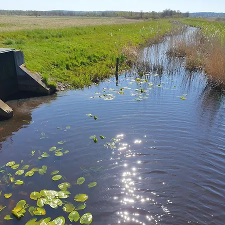 Prázdninový dům Modrzewiowy Zakatek By Interhome Smoldzinski Las