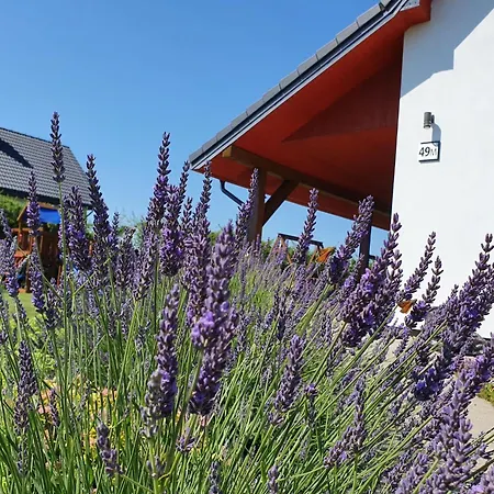 Tatil Evi Modrzewiowy Zakatek By Interhome