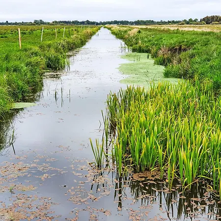 Modrzewiowy Zakatek By Interhome Prázdninový dům *