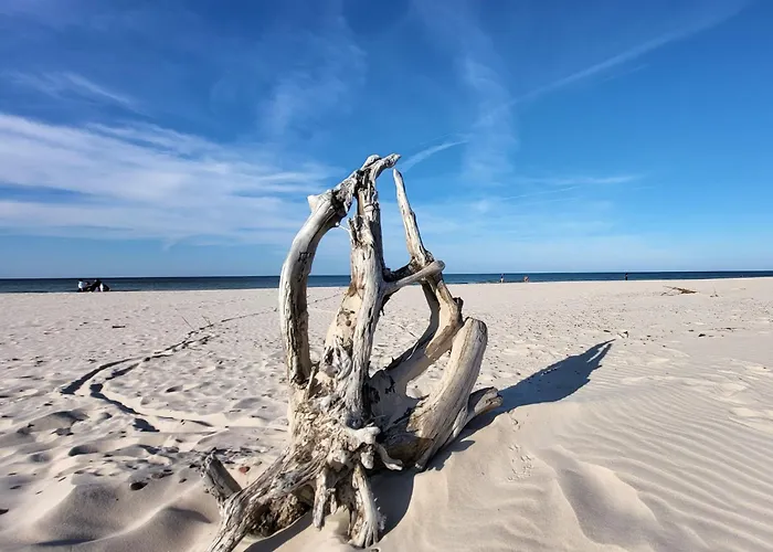 By Interhome Dom wakacyjny Smoldzinski Las