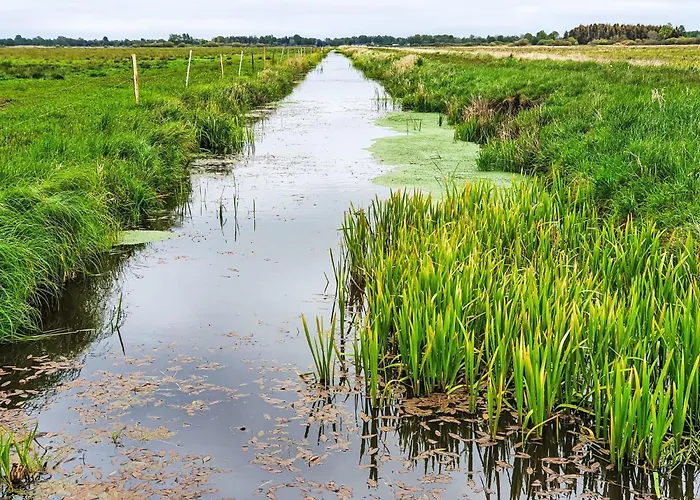 By Interhome Semesterbostad *